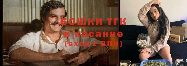 прущий лед Алексин