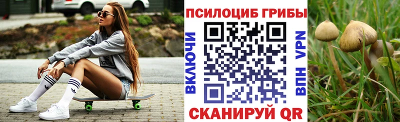 Псилоцибиновые грибы мицелий  Михайловск 