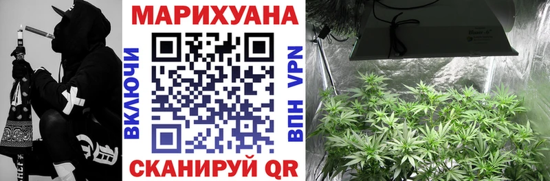 где можно купить наркотик  omg   Бошки Шишки Bruce Banner  Михайловск 